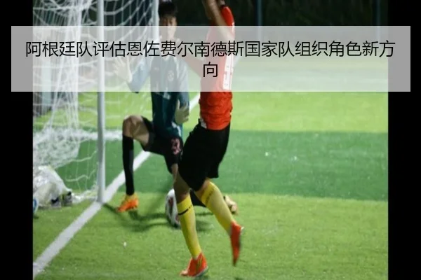 阿根廷队评估恩佐费尔南德斯国家队组织角色新方向